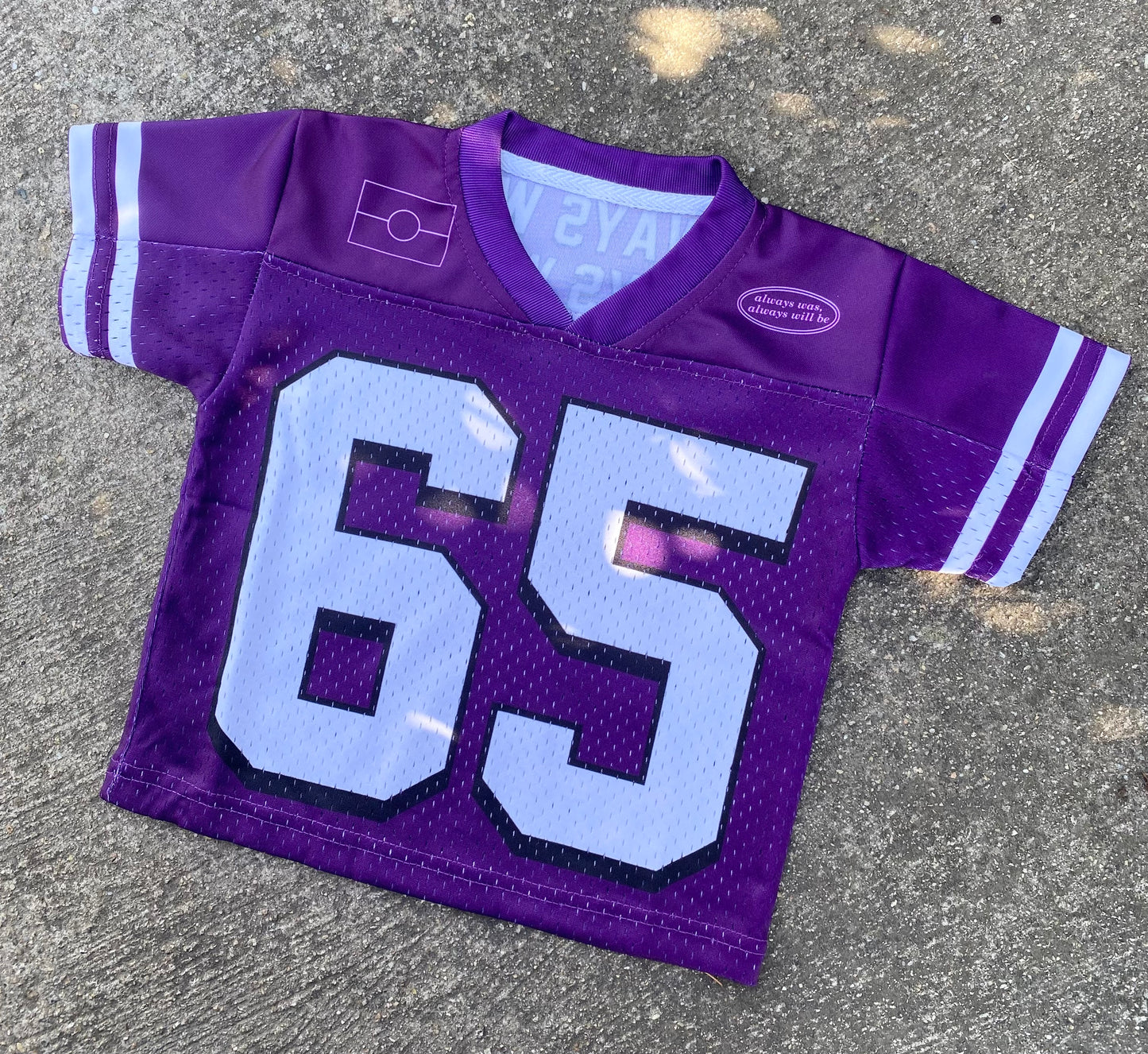 Adults Purple Always was, Always will be Jersey